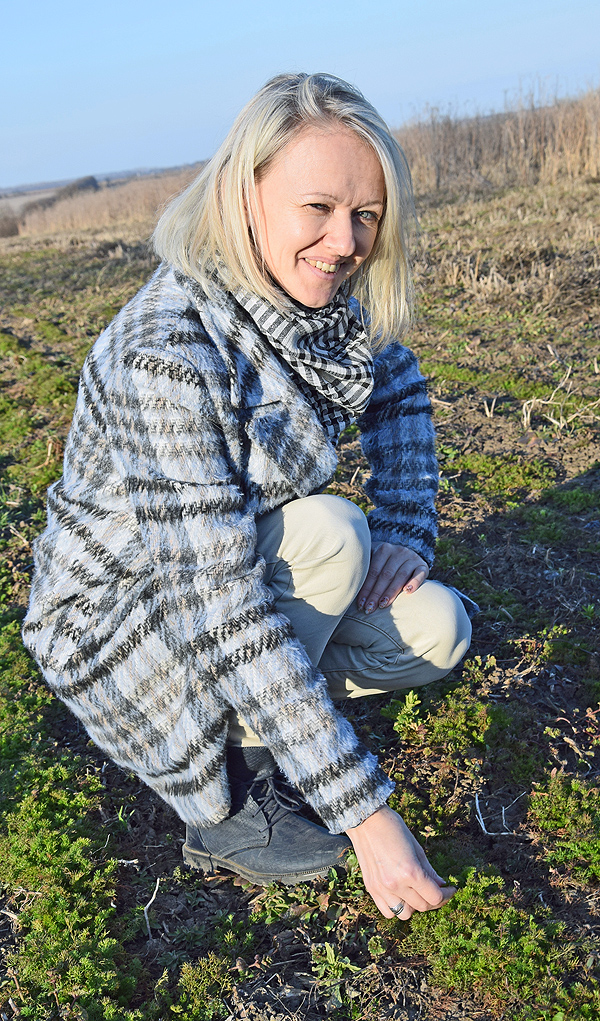 Ольга Мацишин, голова кооперативу «Файна ягідка» порається на плантації лікарських рослин. Фото автора